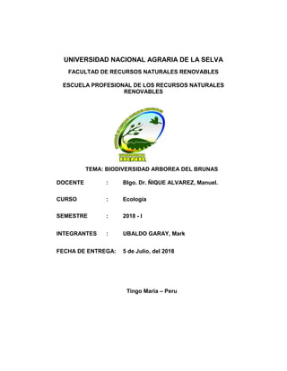 UNIVERSIDAD NACIONAL AGRARIA DE LA SELVA
FACULTAD DE RECURSOS NATURALES RENOVABLES
ESCUELA PROFESIONAL DE LOS RECURSOS NATURALES
RENOVABLES
TEMA: BIODIVERSIDAD ARBOREA DEL BRUNAS
DOCENTE : BIgo. Dr. ÑIQUE ALVAREZ, Manuel.
CURSO : Ecología
SEMESTRE : 2018 - I
INTEGRANTES : UBALDO GARAY, Mark
FECHA DE ENTREGA: 5 de Julio, del 2018
Tingo Maria – Peru
 