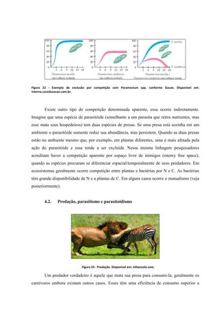 Figura 22 - Exemplo de exclusão por competição com Paramecium spp. conforme Gause. Disponível em:
interna.coceducacao.com.br.

Existe outro tipo de competição denominada aparente, essa ocorre indiretamente.
Imagine que uma espécie de parasitóide (semelhante a um parasita que retira nutrientes, mas
esse mata seus hospedeiros) tem duas espécies de presas. Se uma presa está sozinha em um
ambiente o parasitóide somente reduz sua abundância, mas persistem. Quando as duas presas
estão no ambiente mesmo que, por exemplo, em plantas diferentes, uma é mais afetada pela
ação do parasitóide e essa tende a ser excluída. Nessa mesma linhagem pesquisadores
acreditam haver a competição aparente por espaço livre de inimigos (enemy free space),
quando as espécies procuram se diferenciar espacial/temporalmente de seus predadores. Em
ecossistemas geralmente ocorre competição entre plantas e bactérias por N e C. As bactérias
têm grande disponibilidade de N e a plantas de C. Em alguns casos ocorre o mutualismo (veja
posteriormente).

4.2.

Predação, parasitismo e parasitoidismo

Figura 23 - Predação. Disponível em: infoescola.com.

Um predador verdadeiro é aquele que mata sua presa para consumi-la, geralmente os
carnívoros embora existam outros casos. Esses têm uma eficiência de consumo superior a

 