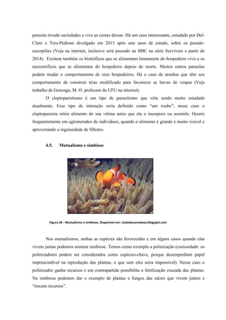 parasita invade sociedades e vive as custas dessas. Há um caso interessante, estudado por DelClaro e Tizo-Pedroso divulgado em 2013 após sete anos de estudo, sobre os pseudoescorpiões (Veja na internet, inclusive será passado na BBC na série Survivors a partir de
2014). Existem também os biotróficos que se alimentam lentamente do hospedeiro vivo e os
necrotróficos que se alimentam do hospedeiro depois de morto. Muitos outros parasitas
podem mudar o comportamento de seus hospedeiros. Há o caso de aranhas que têm seu
comportamento de construir teias modificado para favorecer as larvas de vespas (Veja
trabalho de Gonzaga, M. O. professor da UFU na internet).
O cleptoparistismo é um tipo de parasitismo que vêm sendo muito estudado
atualmente. Esse tipo de interação seria definido como “um roubo”, nesse caso o
cleptoparasita retira alimento de sua vítima antes que ela o incorpore ou assimile. Ocorre
frequentemente em aglomerados de indivíduos, quando o alimento é grande e muito visível e
aproveitando a ingenuidade de filhotes.

4.5.

Mutualismo e simbiose

Figura 26 - Mutualismo e simbiose. Disponível em: clubedocamaleao.blogspot.com

Nos mutualismos, ambas as espécies são favorecidas e em alguns casos quando elas
vivem juntas podemos nomear simbiose. Temos como exemplo a polinização (curiosidade: os
polinizadores podem ser considerados como espécies-chave, porque desempenham papel
imprescindível na reprodução das plantas, o que sem eles seria impossível). Nesse caso o
polinizador ganha recursos e em contrapartida possibilita a fertilização cruzada das plantas.
Na simbiose podemos dar o exemplo de plantas e fungos das raízes que vivem juntos e
“trocam recursos”.

 