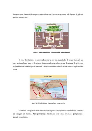 incorporam e disponibilizam para os demais seres vivos e no segundo sob formas de gás ele
retorna a atmosfera.

Figura 31 - Ciclo do nitrogênio. Disponivem em: pt.wikipedia.org

O ciclo do fósforo é o único sedimentar e através degradação de seres vivos ele vai
para a atmosfera e através de chuvas é depositado nos sedimentos e depois de descoberto é
utilizado como recurso pelas plantas e consequentemente demais seres vivos completando o
ciclo.

Figura 32 - Ciclo do fósforo. Disponível em: profpc.com.br

O enxofre é disponibilizado na atmosfera a partir da queima de combustíveis fósseis e
da ciclagem da matéria. Após precipitação retorna ao solo sendo absorvido por plantas e
demais organismos.

 