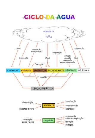 GELEIRAS
ANIMAIS
neve
chuva
evaporação
respiração
transpiração
excreção
chuva
evaporação
gutação
sudação
respiração
evapotranspiração
evaporação
OCEANOS SUPERFÍCIE RIOS e LAGOS VEGETAIS
atmosfera
H2O(g)
ingestão
LENÇOL FREÁTICO
ANIMAIS
alimentação
ingestão direta
respiração
transpiração
excreção
vegetais
absorção
pelas raízes
respiração
evapotranspiração
sudação
gutação
 