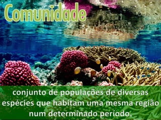 ECOLOGIA - CONCEITOS