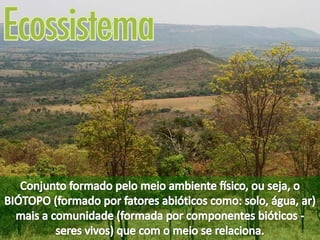 ECOLOGIA - CONCEITOS