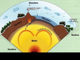 ECOLOGIA - CONCEITOS