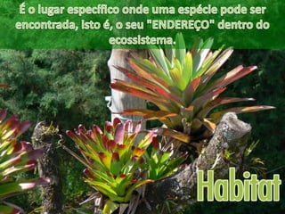 ECOLOGIA - CONCEITOS