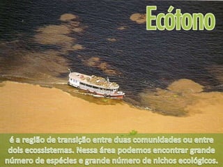 ECOLOGIA - CONCEITOS