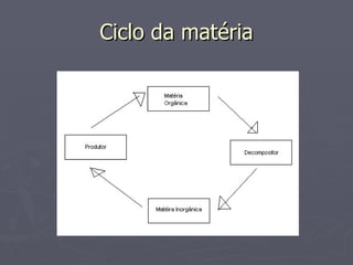 Ciclo da matéria 