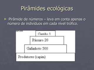 Pirâmides ecológicas Pirâmide de números – leva em conta apenas o número de indivíduos em cada nível trófico. 