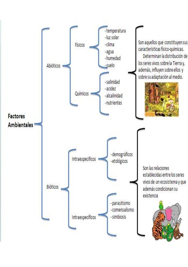 Cuadro Sinóptico de los Factores del Medio Ambiente