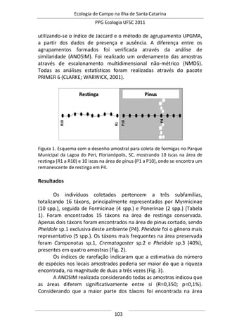 Ecologia de Campo na Ilha de Santa Catarina
PPG Ecologia UFSC 2011
103
utilizando-se o índice de Jaccard e o método de agrupamento UPGMA,
a partir dos dados de presença e ausência. A diferença entre os
agrupamentos formados foi verificada através da análise de
similaridade (ANOSIM). Foi realizado um ordenamento das amostras
através de escalonamento multidimensional não-métrico (NMDS).
Todas as análises estatísticas foram realizadas através do pacote
PRIMER 6 (CLARKE; WARWICK, 2001).
Figura 1. Esquema com o desenho amostral para coleta de formigas no Parque
Municipal da Lagoa do Peri, Florianópolis, SC, mostrando 10 iscas na área de
restinga (R1 a R10) e 10 iscas na área de pinus (P1 a P10), onde se encontra um
remanescente de restinga em P4.
Resultados
Os indivíduos coletados pertencem a três subfamílias,
totalizando 16 táxons, principalmente representados por Myrmicinae
(10 spp.), seguida de Formicinae (4 spp.) e Ponerinae (2 spp.) (Tabela
1). Foram encontrados 15 táxons na área de restinga conservada.
Apenas dois táxons foram encontrados na área de pinus cortado, sendo
Pheidole sp.1 exclusiva deste ambiente (P4). Pheidole foi o gênero mais
representativo (5 spp.). Os táxons mais frequentes na área preservada
foram Camponotus sp.1, Crematogaster sp.2 e Pheidole sp.3 (40%),
presentes em quatro amostras (Fig. 2).
Os índices de rarefação indicaram que a estimativa do número
de espécies nos locais amostrados poderia ser maior do que a riqueza
encontrada, na magnitude de duas a três vezes (Fig. 3).
A ANOSIM realizada considerando todas as amostras indicou que
as áreas diferem significativamente entre si (R=0,350; p=0,1%).
Considerando que a maior parte dos táxons foi encontrada na área
 