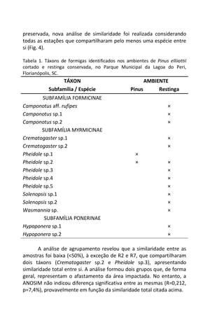 preservada, nova análise de similaridade foi realizada considerando
todas as estações que compartilharam pelo menos uma espécie entre
si (Fig. 4).
Tabela 1. Táxons de formigas identificados nos ambientes de Pinus elliiottii
cortado e restinga conservada, no Parque Municipal da Lagoa do Peri,
Florianópolis, SC.
TÁXON AMBIENTE
Subfamília / Espécie Pinus Restinga
SUBFAMÍLIA FORMICINAE
Camponotus aff. rufipes ×
Camponotus sp.1 ×
Camponotus sp.2 ×
SUBFAMÍLIA MYRMICINAE
Crematogaster sp.1 ×
Crematogaster sp.2 ×
Pheidole sp.1 ×
Pheidole sp.2 × ×
Pheidole sp.3 ×
Pheidole sp.4 ×
Pheidole sp.5 ×
Solenopsis sp.1 ×
Solenopsis sp.2 ×
Wasmannia sp. ×
SUBFAMÍLIA PONERINAE
Hypoponera sp.1 ×
Hypoponera sp.2 ×
A análise de agrupamento revelou que a similaridade entre as
amostras foi baixa (<50%), à exceção de R2 e R7, que compartilharam
dois táxons (Crematogaster sp.2 e Pheidole sp.3), apresentando
similaridade total entre si. A análise formou dois grupos que, de forma
geral, representam o afastamento da área impactada. No entanto, a
ANOSIM não indicou diferença significativa entre as mesmas (R=0,212,
p=7,4%), provavelmente em função da similaridade total citada acima.
 