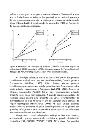 reflete um alto grau de empobrecimento ambiental. Vale ressaltar que
a ocorrência dessas espécies se deu possivelmente devido à presença
de um remanescente de mata de restinga no ponto quatro da área de
pinus (P4) ou devido à proximidade do ponto dez (P10) ao fragmento
de mata de restinga conservada.
A B
Figura 3. Estimativa de rarefação de espécies (Jacknife1 e Jacknife 2) para os
ambientes de (A) Pinus cortado e (B) Restinga conservada do Parque Municipal
da Lagoa do Peri, Florianópolis, SC. Sobs = nº de táxons observado.
As formigas coletadas neste estudo fazem parte dos gêneros
considerados mais ricos no mundo, que são Pheidole, Crematogaster e
Camponotus (WILSON, 1976). Além desses, outros gêneros
considerados prevalentes em escala global também foram amostrados
neste estudo: Hypoponera e Solenopsis (WILSON, 1976). Dentre os
gêneros encontrados Pheidole foi o mais representativo, estando
presente com cinco morfoespécies. A grande representatividade de
formigas desse gênero está presente em vários levantamentos de
mirmecofauna, já que Pheidole é um dos gêneros mais comuns da
região Neotropical (FERNÁNDEZ, 2003). As duas únicas espécies
encontradas no ambiente de pinus cortado pertenciam ao gênero em
questão, reforçando a ampla capacidade de ocupar nichos diferentes
mesmo em ambientes empobrecidos.
Camponotus possui adaptações ecológicas bastante amplas,
apresentando grande número de espécies e grande distribuição
geográfica (HÖLLDOBLER; WILSON, 1990). Além disso, Camponotus
 