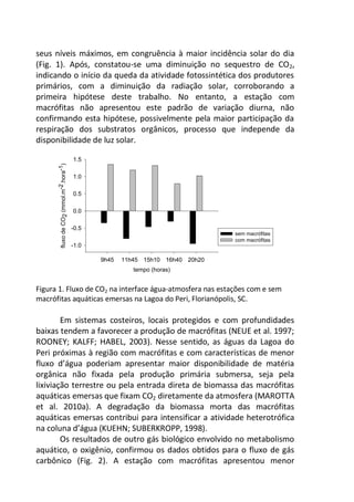 seus níveis máximos, em congruência à maior incidência solar do dia
(Fig. 1). Após, constatou-se uma diminuição no sequestro de CO2,
indicando o início da queda da atividade fotossintética dos produtores
primários, com a diminuição da radiação solar, corroborando a
primeira hipótese deste trabalho. No entanto, a estação com
macrófitas não apresentou este padrão de variação diurna, não
confirmando esta hipótese, possivelmente pela maior participação da
respiração dos substratos orgânicos, processo que independe da
disponibilidade de luz solar.
tempo (horas)
9h45 11h45 15h10 16h40 20h20
fluxodeCO2(mmol.m-2.hora-1)
-1.0
-0.5
0.0
0.5
1.0
1.5
sem macrófitas
com macrófitas
Figura 1. Fluxo de CO2 na interface água-atmosfera nas estações com e sem
macrófitas aquáticas emersas na Lagoa do Peri, Florianópolis, SC.
Em sistemas costeiros, locais protegidos e com profundidades
baixas tendem a favorecer a produção de macrófitas (NEUE et al. 1997;
ROONEY; KALFF; HABEL, 2003). Nesse sentido, as águas da Lagoa do
Peri próximas à região com macrófitas e com características de menor
fluxo d’água poderiam apresentar maior disponibilidade de matéria
orgânica não fixada pela produção primária submersa, seja pela
lixiviação terrestre ou pela entrada direta de biomassa das macrófitas
aquáticas emersas que fixam CO2 diretamente da atmosfera (MAROTTA
et al. 2010a). A degradação da biomassa morta das macrófitas
aquáticas emersas contribui para intensificar a atividade heterotrófica
na coluna d’água (KUEHN; SUBERKROPP, 1998).
Os resultados de outro gás biológico envolvido no metabolismo
aquático, o oxigênio, confirmou os dados obtidos para o fluxo de gás
carbônico (Fig. 2). A estação com macrófitas apresentou menor
 