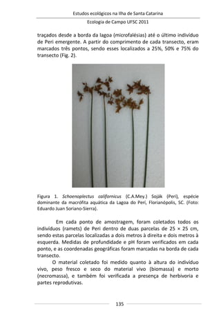 Estudos ecológicos na Ilha de Santa Catarina
Ecologia de Campo UFSC 2011
135
traçados desde a borda da lagoa (microfalésias) até o último indivíduo
de Peri emergente. A partir do comprimento de cada transecto, eram
marcados três pontos, sendo esses localizados a 25%, 50% e 75% do
transecto (Fig. 2).
Figura 1. Schoenoplectus californicus (C.A.Mey.) Soják (Peri), espécie
dominante da macrófita aquática da Lagoa do Perí, Florianópolis, SC. (Foto:
Eduardo Juan Soriano-Sierra).
Em cada ponto de amostragem, foram coletados todos os
indivíduos (ramets) de Peri dentro de duas parcelas de 25 × 25 cm,
sendo estas parcelas localizadas a dois metros à direita e dois metros à
esquerda. Medidas de profundidade e pH foram verificados em cada
ponto, e as coordenadas geográficas foram marcadas na borda de cada
transecto.
O material coletado foi medido quanto à altura do indivíduo
vivo, peso fresco e seco do material vivo (biomassa) e morto
(necromassa), e também foi verificada a presença de herbivoria e
partes reprodutivas.
 