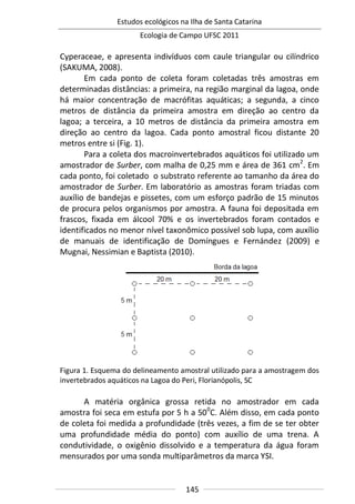 Estudos ecológicos na Ilha de Santa Catarina
Ecologia de Campo UFSC 2011
145
Cyperaceae, e apresenta indivíduos com caule triangular ou cilíndrico
(SAKUMA, 2008).
Em cada ponto de coleta foram coletadas três amostras em
determinadas distâncias: a primeira, na região marginal da lagoa, onde
há maior concentração de macrófitas aquáticas; a segunda, a cinco
metros de distância da primeira amostra em direção ao centro da
lagoa; a terceira, a 10 metros de distância da primeira amostra em
direção ao centro da lagoa. Cada ponto amostral ficou distante 20
metros entre si (Fig. 1).
Para a coleta dos macroinvertebrados aquáticos foi utilizado um
amostrador de Surber, com malha de 0,25 mm e área de 361 cm2
. Em
cada ponto, foi coletado o substrato referente ao tamanho da área do
amostrador de Surber. Em laboratório as amostras foram triadas com
auxílio de bandejas e pissetes, com um esforço padrão de 15 minutos
de procura pelos organismos por amostra. A fauna foi depositada em
frascos, fixada em álcool 70% e os invertebrados foram contados e
identificados no menor nível taxonômico possível sob lupa, com auxílio
de manuais de identificação de Domíngues e Fernández (2009) e
Mugnai, Nessimian e Baptista (2010).
Figura 1. Esquema do delineamento amostral utilizado para a amostragem dos
invertebrados aquáticos na Lagoa do Peri, Florianópolis, SC
A matéria orgânica grossa retida no amostrador em cada
amostra foi seca em estufa por 5 h a 500
C. Além disso, em cada ponto
de coleta foi medida a profundidade (três vezes, a fim de se ter obter
uma profundidade média do ponto) com auxílio de uma trena. A
condutividade, o oxigênio dissolvido e a temperatura da água foram
mensurados por uma sonda multiparâmetros da marca YSI.
 
