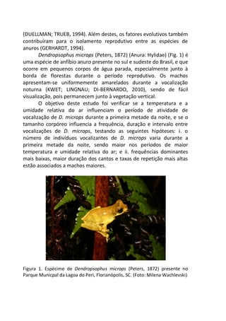 (DUELLMAN; TRUEB, 1994). Além destes, os fatores evolutivos também
contribuíram para o isolamento reprodutivo entre as espécies de
anuros (GERHARDT, 1994).
Dendropsophus microps (Peters, 1872) (Anura: Hylidae) (Fig. 1) é
uma espécie de anfíbio anuro presente no sul e sudeste do Brasil, e que
ocorre em pequenos corpos de água parada, especialmente junto à
borda de florestas durante o período reprodutivo. Os machos
apresentam-se uniformemente amarelados durante a vocalização
noturna (KWET; LINGNAU; DI-BERNARDO, 2010), sendo de fácil
visualização, pois permanecem junto à vegetação vertical.
O objetivo deste estudo foi verificar se a temperatura e a
umidade relativa do ar influenciam o período de atividade de
vocalização de D. microps durante a primeira metade da noite, e se o
tamanho corpóreo influencia a frequência, duração e intervalo entre
vocalizações de D. microps, testando as seguintes hipóteses: i. o
número de indivíduos vocalizantes de D. microps varia durante a
primeira metade da noite, sendo maior nos períodos de maior
temperatura e umidade relativa do ar; e ii. frequências dominantes
mais baixas, maior duração dos cantos e taxas de repetição mais altas
estão associados a machos maiores.
Figura 1. Espécime de Dendropsophus microps (Peters, 1872) presente no
Parque Municpal da Lagoa do Peri, Florianópolis, SC. (Foto: Milena Wachlevski)
 