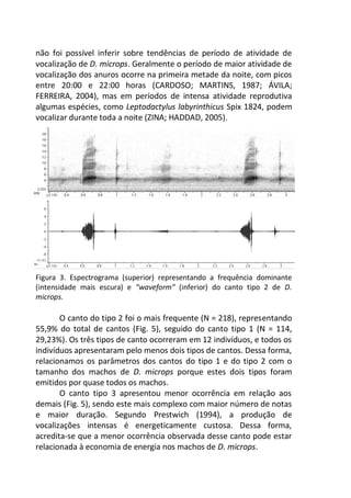 não foi possível inferir sobre tendências de período de atividade de
vocalização de D. microps. Geralmente o período de maior atividade de
vocalização dos anuros ocorre na primeira metade da noite, com picos
entre 20:00 e 22:00 horas (CARDOSO; MARTINS, 1987; ÁVILA;
FERREIRA, 2004), mas em períodos de intensa atividade reprodutiva
algumas espécies, como Leptodactylus labyrinthicus Spix 1824, podem
vocalizar durante toda a noite (ZINA; HADDAD, 2005).
Figura 3. Espectrograma (superior) representando a frequência dominante
(intensidade mais escura) e “waveform” (inferior) do canto tipo 2 de D.
microps.
O canto do tipo 2 foi o mais frequente (N = 218), representando
55,9% do total de cantos (Fig. 5), seguido do canto tipo 1 (N = 114,
29,23%). Os três tipos de canto ocorreram em 12 indivíduos, e todos os
indivíduos apresentaram pelo menos dois tipos de cantos. Dessa forma,
relacionamos os parâmetros dos cantos do tipo 1 e do tipo 2 com o
tamanho dos machos de D. microps porque estes dois tipos foram
emitidos por quase todos os machos.
O canto tipo 3 apresentou menor ocorrência em relação aos
demais (Fig. 5), sendo este mais complexo com maior número de notas
e maior duração. Segundo Prestwich (1994), a produção de
vocalizações intensas é energeticamente custosa. Dessa forma,
acredita-se que a menor ocorrência observada desse canto pode estar
relacionada à economia de energia nos machos de D. microps.
 