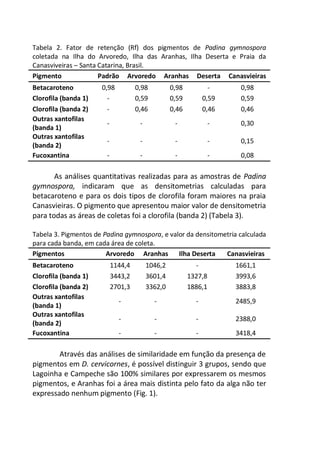 Tabela 2. Fator de retenção (Rf) dos pigmentos de Padina gymnospora
coletada na Ilha do Arvoredo, Ilha das Aranhas, Ilha Deserta e Praia da
Canasviveiras – Santa Catarina, Brasil.
Pigmento Padrão Arvoredo Aranhas Deserta Canasvieiras
Betacaroteno 0,98 0,98 0,98 - 0,98
Clorofila (banda 1) - 0,59 0,59 0,59 0,59
Clorofila (banda 2) - 0,46 0,46 0,46 0,46
Outras xantofilas
(banda 1)
- - - - 0,30
Outras xantofilas
(banda 2)
- - - - 0,15
Fucoxantina - - - - 0,08
As análises quantitativas realizadas para as amostras de Padina
gymnospora, indicaram que as densitometrias calculadas para
betacaroteno e para os dois tipos de clorofila foram maiores na praia
Canasvieiras. O pigmento que apresentou maior valor de densitometria
para todas as áreas de coletas foi a clorofila (banda 2) (Tabela 3).
Tabela 3. Pigmentos de Padina gymnospora, e valor da densitometria calculada
para cada banda, em cada área de coleta.
Pigmentos Arvoredo Aranhas Ilha Deserta Canasvieiras
Betacaroteno 1144,4 1046,2 - 1661,1
Clorofila (banda 1) 3443,2 3601,4 1327,8 3993,6
Clorofila (banda 2) 2701,3 3362,0 1886,1 3883,8
Outras xantofilas
(banda 1)
- - - 2485,9
Outras xantofilas
(banda 2)
- - - 2388,0
Fucoxantina - - - 3418,4
Através das análises de similaridade em função da presença de
pigmentos em D. cervicornes, é possível distinguir 3 grupos, sendo que
Lagoinha e Campeche são 100% similares por expressarem os mesmos
pigmentos, e Aranhas foi a área mais distinta pelo fato da alga não ter
expressado nenhum pigmento (Fig. 1).
 
