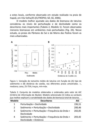 a estes locais, conforme observado em estudo realizado na praia de
Itapoã, em Vila Velha/ES (EUTRÓPIO; SÁ; SÁ, 2006).
O modelo melhor ajustado aos dados de biomassa de tatuíras
considerou os níveis de perturbação e de declividade como os
descritores mais importantes (Tabela 2, Modelo 1). Foram observadas
menores biomassas em ambientes mais perturbados (Fig. 2A). Nesse
estudo, as praias do Pântano do Sul e do Morro das Pedras foram as
mais urbanizadas.
A B
Figura 1. Variação do tamanho médio de tatuíras em função do (A) tipo de
sedimento e (B) distância do costão, nas diferentes praias amostradas. □,
mediana; caixa, 25-75%; traços, mín-máx.
Tabela 2. Conjunto de modelos elaborados e ordenados pelo valor de AIC
(Critério de informação de Akaike). Modelo selecionado (1) indica as variáveis
que melhor explicam a variabilidade dos dados de biomassa total de tatuíras.
Modelo Descritores AIC
1 Perturbação + Declividade 196,51
2 Sedimento + Perturbação + Declividade 200,46
3 Sedimento + Perturbação + Frequência da Onda +
Declividade
202,05
4 Sedimento + Perturbação + Frequência da Onda +
Declividade + Distância
203,42
 
