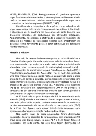 NEVES; BEMVENUTI, 2006). Ecologicamente, O. quadrata apresenta
papel fundamental na transferência de energia entre diferentes níveis
tróficos dos ecossistemas costeiros, assumindo o papel de importante
consumidor de detritos orgânicos (PHILLIPS, 1940).
Considerando a importância da espécie como indicadora de
impacto antrópico, este estudo tem como objetivo estimar a densidade
e abundância de O. quadrata em duas praias de Santa Catarina sob
diferentes condições de perturbação por atividades antrópicas.
Adicionalmente, foi avaliada a efetividade e possíveis vantagens da
aplicação do método de transecções lineares com amostragem de
distâncias como ferramenta para se gerar estimativas de densidade
rápidas e robustas.
Material e métodos
O estudo foi desenvolvido em duas praias ao sul da Ilha de Santa
Catarina, Florianópolis. Em cada praia foram selecionadas duas áreas:
uma considerada com maior estado de perturbação ambiental (mais
alterada) e outra com menor estado de perturbação (menos alterada).
Os pontos de amostragem foram a Praia Morro das Pedras (P1) e
Praia Pântano do Sul/Praia dos Açores (P2) (Fig. 1). No P1 foi escolhida
uma área mais próxima ao costão rochoso, considerada como a mais
alterada (P1-A), devido à poluição, à proximidade de restaurantes com
estacionamento de carros, à baixa abundância de vegetação nativa e à
presença de vegetação exótica (Pinus sp.). A segunda área escolhida
(P1-B) se distanciou em aproximadamente 200 m da primeira, e
caracteriza-se por ser uma área menos alterada, sem construção civil e
com presença de vegetação herbácea de restinga.
O P2 localizado na praia Pântano do Sul foi considerado mais
alterado (P2-A), devido a um intenso trânsito de pescadores e carros,
marcante urbanização, e pelo constante movimento de moradores e
turistas. A área considerada menos alterada ou mais conservada (P2-B)
foi a Praia dos Açores, com menor interferência antrópica, com
presença de abundante vegetação herbácea de restinga.
Nas quatro faixas de praia amostradas, foram delimitadas
transecções lineares, dispostas de forma oblíqua, com angulação de 90
graus entre elas (zigue-zague). Na área P1-A e P1-B, foram feitas 10
transecções em cada ponto. Na área P2-A foram delimitadas 12
 