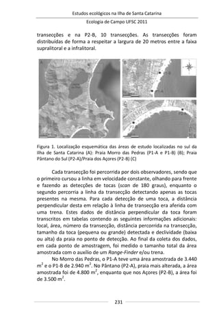 Estudos ecológicos na Ilha de Santa Catarina
Ecologia de Campo UFSC 2011
231
transecções e na P2-B, 10 transecções. As transecções foram
distribuídas de forma a respeitar a largura de 20 metros entre a faixa
supralitoral e a infralitoral.
Figura 1. Localização esquemática das áreas de estudo localizadas no sul da
Ilha de Santa Catarina (A): Praia Morro das Pedras (P1-A e P1-B) (B); Praia
Pântano do Sul (P2-A)/Praia dos Açores (P2-B) (C)
Cada transecção foi percorrida por dois observadores, sendo que
o primeiro cursou a linha em velocidade constante, olhando para frente
e fazendo as detecções de tocas (scan de 180 graus), enquanto o
segundo percorria a linha da transecção detectando apenas as tocas
presentes na mesma. Para cada detecção de uma toca, a distância
perpendicular desta em relação à linha de transecção era aferida com
uma trena. Estes dados de distância perpendicular da toca foram
transcritos em tabelas contendo as seguintes informações adicionais:
local, área, número da transecção, distância percorrida na transecção,
tamanho da toca (pequena ou grande) detectada e declividade (baixa
ou alta) da praia no ponto de detecção. Ao final da coleta dos dados,
em cada ponto de amostragem, foi medido o tamanho total da área
amostrada com o auxílio de um Range-Finder e/ou trena.
No Morro das Pedras, o P1-A teve uma área amostrada de 3.440
m2
e o P1-B de 2.940 m2
. No Pântano (P2-A), praia mais alterada, a área
amostrada foi de 4.800 m2
, enquanto que nos Açores (P2-B), a área foi
de 3.500 m2
.
 