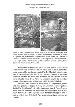 Estudos ecológicos na Ilha de Santa Catarina
Ecologia de Campo UFSC 2011
299
Figura 2. Foto representativa da caracterização física das diferentes áreas
amostradas no riacho Cachoeira Grande e Sangradouro, no Parque Municipal
da Lagoa do Peri, Florianópolis, Santa Catarina, Brasil. Pontos 1 e 2 referem-se
à área da Cachoeira Grande; Pontos 3 e 4, ao Sangradouro - Bairro; Pontos 5 e
6, ao Sangradouro – Intermediária. (Fotos: Cachoeira Grande e Bairro, Elaine
Nakamura; Intermediária, Anna Mello)
A segunda área amostrada foi no Rio Sangradouro, mais próximo
ao bairro Armação do Pântano do Sul. Nesta área há casas, concreto e
presença de saídas abertas de esgoto (Fig. 2). O Ponto 3 situado nessa
área é caracterizado por 46,7% de cobertura vegetal e substrato
composto por 65% de areia, 30% de lodo e 5% de cascalho. O outro
ponto situado nessa área, Ponto 4, apresenta 23,3% de cobertura
vegetal e é composto por 90% de areia e 10% de lodo (Tabela 1).
A terceira área também se encontra no Rio Sangradouro, porém
está mais próxima à Lagoa do Peri, em um trecho com vegetação
ripária (Fig. 2). O Ponto 5 e 6 estão situados na área. O Ponto 5 possui
60,3% de cobertura vegetal e o substrato é composto por 70% de areia
e 30% de lodo. Já o Ponto 6 possui 14,3% de cobertura vegetal, 90% de
areia e 10% de lodo (Tabela 1). Para as demais variáveis químicas ver
Tabela 1.
 