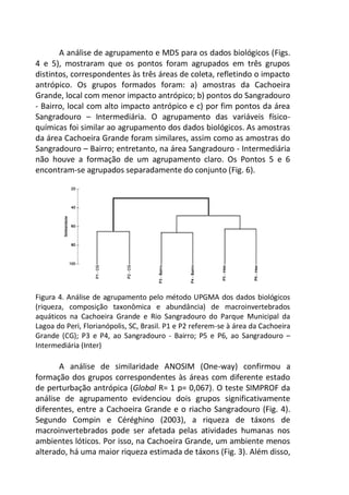 A análise de agrupamento e MDS para os dados biológicos (Figs.
4 e 5), mostraram que os pontos foram agrupados em três grupos
distintos, correspondentes às três áreas de coleta, refletindo o impacto
antrópico. Os grupos formados foram: a) amostras da Cachoeira
Grande, local com menor impacto antrópico; b) pontos do Sangradouro
- Bairro, local com alto impacto antrópico e c) por fim pontos da área
Sangradouro – Intermediária. O agrupamento das variáveis físico-
químicas foi similar ao agrupamento dos dados biológicos. As amostras
da área Cachoeira Grande foram similares, assim como as amostras do
Sangradouro – Bairro; entretanto, na área Sangradouro - Intermediária
não houve a formação de um agrupamento claro. Os Pontos 5 e 6
encontram-se agrupados separadamente do conjunto (Fig. 6).
Figura 4. Análise de agrupamento pelo método UPGMA dos dados biológicos
(riqueza, composição taxonômica e abundância) de macroinvertebrados
aquáticos na Cachoeira Grande e Rio Sangradouro do Parque Municipal da
Lagoa do Peri, Florianópolis, SC, Brasil. P1 e P2 referem-se à área da Cachoeira
Grande (CG); P3 e P4, ao Sangradouro - Bairro; P5 e P6, ao Sangradouro –
Intermediária (Inter)
A análise de similaridade ANOSIM (One-way) confirmou a
formação dos grupos correspondentes às áreas com diferente estado
de perturbação antrópica (Global R= 1 p= 0,067). O teste SIMPROF da
análise de agrupamento evidenciou dois grupos significativamente
diferentes, entre a Cachoeira Grande e o riacho Sangradouro (Fig. 4).
Segundo Compin e Céréghino (2003), a riqueza de táxons de
macroinvertebrados pode ser afetada pelas atividades humanas nos
ambientes lóticos. Por isso, na Cachoeira Grande, um ambiente menos
alterado, há uma maior riqueza estimada de táxons (Fig. 3). Além disso,
 
