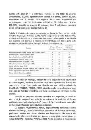Espécie
Nº ind.
coletados
Nº ind. c/
ácaros
Frequência
indivíduos
infestados no total
(%)Adenomera engelsi (Kwet, Steiner, and Zillikens, 2009) 2 0 0
Dendropsophus microps (Peters, 1872) 7 0 0
Leptodactylus latrans (Steffen, 1815) 2 1 1,89
Phyllomedusa distincta (Lutz, 1950) 1 0 0
Physalaemus cuvieri (Fitzinger, 1826) 1 0 0
Physalaemus nanus (Boulenger, 1888) 31 18 33,96
Scinax aff. alter (Lutz, 1973) 2 1 1,89
Scinax aff. perereca (Pombal, Haddad, and Kasahara, 1995) 1 0 0
Scinax argyreornatus (Miranda-Ribeiro, 1926) 4 0 0
Scinax rizibilis (Bokermann, 1964) 2 0 0
TOTAL 53 20 37,74
Scinax aff. alter (n = 1 indivíduo) (Tabela 1). Do total de anuros
amostrados, 37,74% apresentaram ácaros no corpo, sendo 33,96%
ocorreram em P. nanus. Esta espécie foi a mais abundante na
amostragem, com 31 indivíduos coletados, 18 deles com ácaros
(58,06%), seguida da espécie D. microps, com 7 indivíduos, nenhum
deles com presença de ácaros (Tabela 1).
Tabela 1. Espécies de anuros amostrados na lagoa do Peri, no dia 10 de
outubro de 2011, na Trilha da Gurita, riacho Sangradouro e Trilha do Saquinho,
o número de indivíduos, o número de ácaros em cada espécie, a freqüência
das espécies com ácaros e a freqüência de indivíduos com ácaros para cada
espécie no Parque Municipal da Lagoa do Peri, Florianópolis, SC
A espécie D. microps, apesar de ser a segunda mais abundante
na amostragem, nenhum indivíduo capturado apresentou ácaros em
seu corpo. Este fato pode ser devido ao seu hábito arborícola
(HADDAD; TOLEDO; PRADO, 2008), corroborando com a hipótese que
espécies de hábitos terrestres são mais suscetíveis às infestações dos
ácaros.
Devido ao pequeno número amostral das espécies, as análises
de condição corporal em relação ao número de nódulos só foram
realizadas com os indivíduos de P. nanus. A Fig. 1 mostra um exemplar
de P. nanus infestado por nódulos dos ácaros.
A espécie Physalaemus nanus, popularmente conhecida como
rãzinha-do-folhiço, possui indivíduos pequenos de hábitos terrestres,
podendo ocorrer em áreas abertas ou florestadas. Na época de
reprodução são encontradas em poças temporárias, como poças e
valas (HADDAD; TOLEDO; PRADO, 2008). Neste trabalho, a maioria dos
 