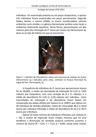 Estudos ecológicos na Ilha de Santa Catarina
Ecologia de Campo UFSC 2011
343
indivíduos foi encontrada próximo ou em poças temporárias, e apenas
três indivíduos foram encontrados em poças permanentes. Segundo
Sladky, Norton e Loomis (2000), os ácaros trombiculídeos utilizam
ambientes semi-úmidos e o gênero Hannemania prefere estes locais a
ambientes totalmente aquáticos. Desta forma, possivelmente um dos
motivos pela alta infestação de P. nanus por ácaros de Hannemania sp.
deve-se ao tipo de habitat em que se encontram.
Figura 1. Indivíduo de Physalaemus nanus com presença de nódulos de ácaros
(Hannemania sp.) indicados pelas setas, coletado no Parque Municipal da
Lagoa do Peri, Florianópolis, SC
A freqüência de indivíduos de P. nanus que apresentaram ácaros
foi de 58,06%, a média da intensidade de infestação foi 4,22 (± 3,02)
nódulos por hospedeiro, com uma variação de 0 a 11 nódulos, e a
média da abundância foi 2,45 (± 3,10) nódulos por indivíduo. Estas
intensidades de infestação e de abundância foram baixas em
comparação aos dados obtidos por Hatano et al. (2007), que obteve em
49 indivíduos de Hylodes phyllodes, média de intensidade 48,2 (± 44,6)
ácaros por indivíduo infestado e média de abundância de 42,3 (± 44,7)
ácaros por indivíduos.
Apesar do baixo número de indivíduos infestados por nódulos (n
= 18), a análise de regressão linear simples mostrou que há uma
tendência a diminuição da condição corporal conforme aumenta o
número de ácaros (R = 0,41; F = 3,12; p = 0,09), sendo estes valores
 
