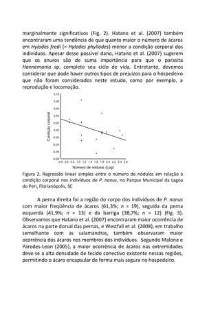 marginalmente significativos (Fig. 2). Hatano et al. (2007) também
encontraram uma tendência de que quanto maior o número de ácaros
em Hylodes fredi (= Hylodes phyllodes) menor a condição corporal dos
indivíduos. Apesar desse possível dano, Hatano et al. (2007) sugerem
que os anuros são de suma importância para que o parasita
Hannemania sp. complete seu ciclo de vida. Entretanto, devemos
considerar que pode haver outros tipos de prejuízos para o hospedeiro
que não foram considerados neste estudo, como por exemplo, a
reprodução e locomoção.
0,4 0,6 0,8 1,0 1,2 1,4 1,6 1,8 2,0 2,2 2,4 2,6
Número de nódulos (Log)
-0,08
-0,06
-0,04
-0,02
0,00
0,02
0,04
0,06
0,08
0,10
Condiçãocorporal
Figura 2. Regressão linear simples entre o número de nódulos em relação à
condição corporal nos indivíduos de P. nanus, no Parque Municipal da Lagoa
do Peri, Florianópolis, SC
A perna direita foi a região do corpo dos indivíduos de P. nanus
com maior freqüência de ácaros (61,3%; n = 19), seguida da perna
esquerda (41,9%; n = 13) e da barriga (38,7%; n = 12) (Fig. 3).
Observamos que Hatano et al. (2007) encontraram maior ocorrência de
ácaros na parte dorsal das pernas, e Westfall et al. (2008), em trabalho
semelhante com as salamandras, também observaram maior
ocorrência dos ácaros nos membros dos indivíduos. Segundo Malone e
Paredes-Leon (2005), a maior ocorrência de ácaros nas extremidades
deve-se a alta densidade de tecido conectivo existente nessas regiões,
permitindo o ácaro encapsular de forma mais segura no hospedeiro.
 