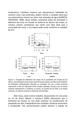 temperatura. Indivíduos maiores, por apresentarem habilidade de
construir tocas mais profundas, podem manter a umidade ideal para
sua sobrevivência mesmo nas áreas mais afastadas da água (ALBERTO;
FONTOURA, 1999). Nesse âmbito, analisando dados de densidade e
diâmetro das tocas em função da distância do alcance das ondas, os
mesmos autores constataram que existe uma faixa ideal para a
construção das tocas, e sua largura pode variar conforme as estações
do ano.
Figura 2. Variação do diâmetro das tocas de O. quadrata em função da (a)
Altura, estratificação vertical; (b) Local (Praia dos Açores ou Morro das Pedras);
(c) Ambiente (antropizado/ alterado ou restinga). Em (a), a linha contínua
representa a reta da regressão linear simples ajustada. Em (b) e (c), os traços
maiores representam a mediana; as caixas, os quartis de 25-75%; e os traços
menores, os valores mínimos e máximos encontrados.
Além disso, neste mesmo trabalho, desenvolvido em uma praia
no sul do Brasil, Alberto e Fontoura (1999) observaram que o
fenômeno da ressaca no mar pode acarretar no encobrimento da
população por dias, independente das condições climáticas posteriores
à tempestade. Tais acontecimentos podem deslocar o padrão de
 