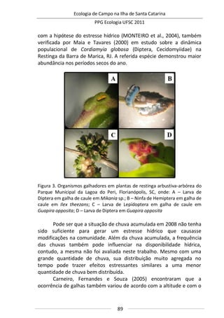 Ecologia de Campo na Ilha de Santa Catarina
PPG Ecologia UFSC 2011
89
com a hipótese do estresse hídrico (MONTEIRO et al., 2004), também
verificada por Maia e Tavares (2000) em estudo sobre a dinâmica
populacional de Cordiamyia globosa (Diptera, Cecidomyiidae) na
Restinga da Barra de Marica, RJ. A referida espécie demonstrou maior
abundância nos períodos secos do ano.
Figura 3. Organismos galhadores em plantas de restinga arbustiva-arbórea do
Parque Municipal da Lagoa do Peri, Florianópolis, SC, onde: A – Larva de
Diptera em galha de caule em Mikania sp.; B – Ninfa de Hemiptera em galha de
caule em Ilex theezans; C – Larva de Lepidoptera em galha de caule em
Guapira opposita; D – Larva de Diptera em Guapira opposita
Pode ser que a situação de chuva acumulada em 2008 não tenha
sido suficiente para gerar um estresse hídrico que causasse
modificações na comunidade. Além da chuva acumulada, a frequência
das chuvas também pode influenciar na disponibilidade hídrica,
contudo, a mesma não foi avaliada neste trabalho. Mesmo com uma
grande quantidade de chuva, sua distribuição muito agregada no
tempo pode trazer efeitos estressantes similares a uma menor
quantidade de chuva bem distribuída.
Carneiro, Fernandes e Souza (2005) encontraram que a
ocorrência de galhas também variou de acordo com a altitude e com o
 