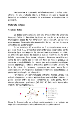 Neste contexto, o presente trabalho teve como objetivo, testar,
através de uma avaliação rápida, a hipótese de que a riqueza de
besouros escarabeíneos aumenta de acordo com a complexidade da
paisagem.
Material e métodos
Coleta de dados
Os dados foram coletados em uma área de Floresta Ombrófila
Densa na Trilha do Saquinho, localizada na porção norte do Parque
Municipal da Lagoa do Peri (PMLP) em Florianópolis/SC. Os besouros
escarabeíneos foram coletados em outubro de 2011 através do uso de
armadilhas de queda “pitfall”.
Foram instaladas 10 armadilhas em 5 pontos distantes entre si
por cerca de 75 m. As armadilhas foram enterradas no solo até a borda,
contendo água e detergente. As tampas foram sustentadas no centro
da armadilha por palitos de madeira e as iscas foram fixadas na parte
inferior das tampas, desta forma, cada ponto tinha uma armadilha com
carne de porco como isca e outra com fezes de macaco prego, para
aumentar a probabilidade de captura tanto de espécies necrófagas,
quanto coprófagas. Todas as armadilhas permaneceram 62 horas no
local de coleta. Os besouros capturados em cada ponto foram
acondicionados em recipientes plásticos devidamente etiquetados para
posterior identificação em laboratório.
Para realizar uma caracterização ambiental da área, utilizou-se o
método do ponto-quadrante. A partir de uma cruz de PVC colocada no
ponto central entre as duas armadilhas de cada ponto, foram
demarcados quatro quadrantes (NE, NW, SE, SW), onde foram feitas
medidas da vegetação (Fig. 1).
Figura 1. Representação do método ponto-quadrante e as variáveis da
vegetação mensuradas em cada quadrante a partir do ponto central.
 