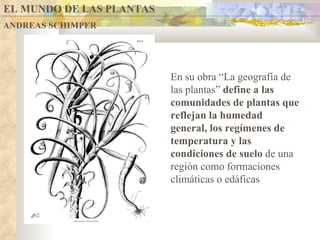EL MUNDO DE LAS PLANTAS ANDREAS SCHIMPER En su obra “La geografía de las plantas”  define a las comunidades de plantas que reflejan la humedad general, los regímenes de temperatura y las condiciones de suelo  de una región como formaciones climáticas o edáficas 