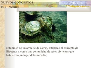 NUEVOS CONCEPTOS KARL MOBIUS Estudioso de un arrecife de ostras, establece el concepto de Biocenosis como una comunidad de seres vivientes que habitan en un lugar determinado. 