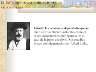 EL ESTUDIO DE LAS POBLACIONES  VITO VOLTERRA Estudió  las relaciones depredador-presa , tanto en los ambientes naturales como en la actividad humana (por ejemplo, en el caso de la pesca excesiva).  Sus estudios fueron complementados por Alfred Lotka. 