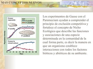 MAS CONCEPTOS NUEVOS  Los experimentos de Gause con el Paramecium ayudan a comprender el principio de exclusión competitiva y fortalece el concepto de Nicho Ecológico  que describe las funciones y asociaciones de una especie determinada en la comunidad de la cual forma parte, es decir la manera en que un organismo establece interacciones con todos los factores bióticos y abióticos de su ambiente.  