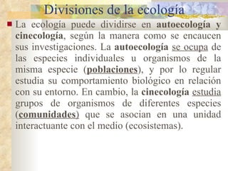 Divisiones de la ecología La ecología puede dividirse en  autoecología y cinecología , según la manera como se encaucen sus investigaciones. La  autoecología   se ocupa  de las especies individuales u organismos de la misma especie ( poblaciones ), y por lo regular estudia su comportamiento biológico en relación con su entorno. En cambio, la  cinecología   estudia  grupos de organismos de diferentes especies ( comunidades )  que se asocian en una unidad interactuante con el medio (ecosistemas). 