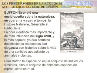 LOS PRECURSORES DE LA ECOLOGÍA GEORGE-LOUIS LECLERC DE BUFFON Para Buffon l a especie no es un conjunto de individuos similares, sino el conjunto de animales capaces de reproducirse entre sí. BUFFON   Escribió  una enciclopedia sobre la naturaleza, en cuarenta y cuatro tomos,  la Histoire Naturelle, Généralle et Particulaire,  La obra científica más importante y de más influencia de l  siglo XVIII , y la más popular, ya que combinó descripciones redactadas con elegancia con historias sobre la vida de una cantidad apabullante de animales y plantas .   