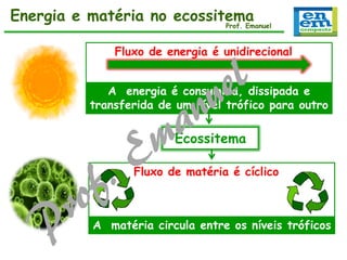 Energia e matéria no ecossitema
Prof. Emanuel
Fluxo de energia é unidirecional
A energia é consumida, dissipada e
transferida de um nível trófico para outro

Ecossitema
Fluxo de matéria é cíclico

A matéria circula entre os níveis tróficos

 