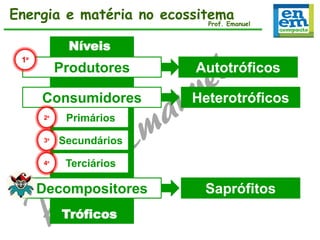 Energia e matéria no ecossitema
Prof. Emanuel
Níveis
1º

Produtores

Autotróficos

Consumidores

Heterotróficos

2º

Primários

3º

Secundários

4º

Terciários

Decompositores
Tróficos

Saprófitos

 