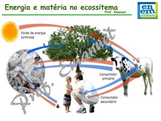 Energia e matéria no ecossitema
Prof. Emanuel

 