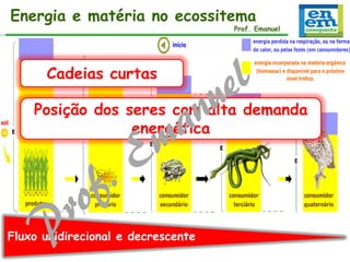 Energia e matéria no ecossitema

Prof. Emanuel

Cadeias curtas
Posição dos seres com alta demanda
energética

Fluxo unidirecional e decrescente

 