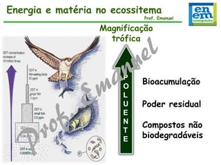 Energia e matéria no ecossitema

Prof. Emanuel

Magnificação
trófica

P
O
L
U
E
N
T
E

Prof. Emanuel

Bioacumulação
Poder residual
Compostos não
biodegradáveis

 