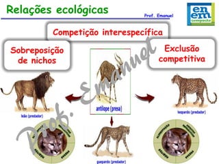 Relações ecológicas

Prof. Emanuel

Competição interespecífica
Sobreposição
de nichos

Exclusão
competitiva

 