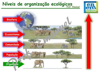 Níveis de organização ecológicosEmanuel
Prof.
Biosfera

Ecossistema

Comunidade

População
Organismo

 