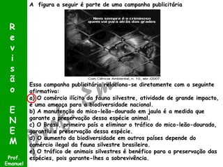 A figura a seguir é parte de uma campanha publicitária

R
e
v
i
s
ã
o
E
N
E
M
Prof.
Emanuel

Essa campanha publicitária relaciona-se diretamente com a seguinte
afirmativa:
a) O comércio ilícito da fauna silvestre, atividade de grande impacto,
é uma ameaça para a biodiversidade nacional.
b) A manutenção do mico-leão-dourado em jaula é a medida que
garante a preservação dessa espécie animal.
c) O Brasil, primeiro país a eliminar o tráfico do mico-leão-dourado,
garantiu a preservação dessa espécie.
d) O aumento da biodiversidade em outros países depende do
comércio ilegal da fauna silvestre brasileira.
e) O tráfico de animais silvestres é benéfico para a preservação das
espécies, pois garante-lhes a sobrevivência.

 