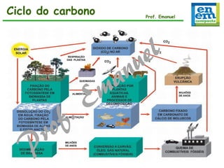 Ciclo do carbono
Ciclo do carbono

Prof. Emanuel

 