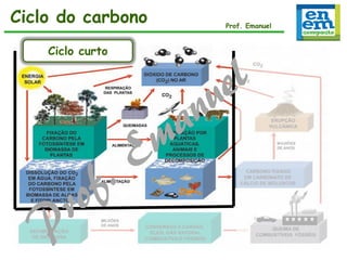 Ciclo do carbono
Ciclo do carbono

Prof. Emanuel

Ciclo curto

 