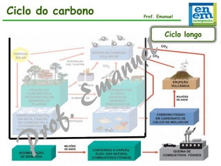 Ciclo do carbono
Ciclo do carbono

Prof. Emanuel

Ciclo longo

 